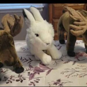 Signature MOOSE..each